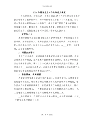 2024年销售总监工作总结范文模板