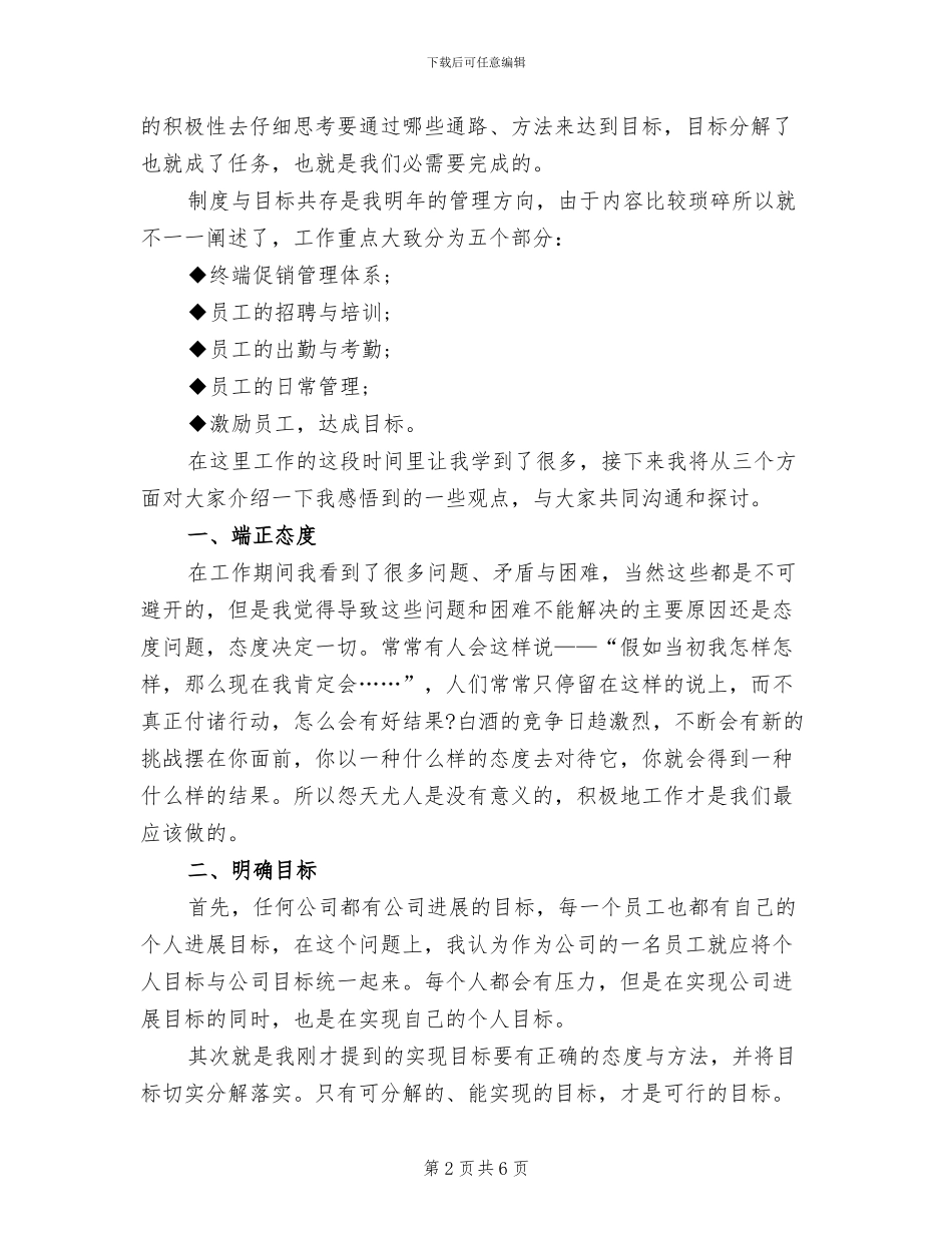 2024年销售总监年终个人工作总结_第2页