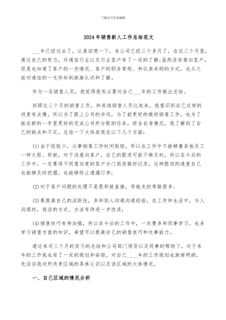 2024年销售新人工作总结范文
