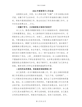 2024年销售晋升工作总结