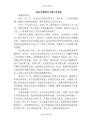 2024年销售见习期工作总结