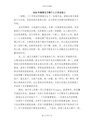 2024年销售见习期个人工作总结三