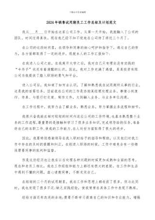 2024年销售试用期员工工作总结及计划范文