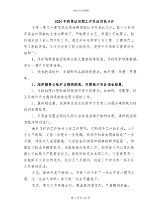 2024年销售试用期工作总结自我评价