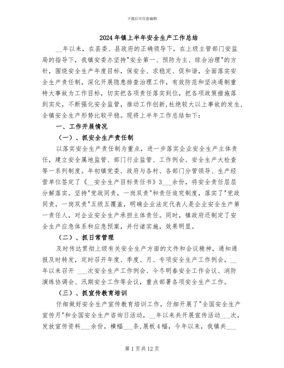 2024年镇上半年安全生产工作总结_第1页