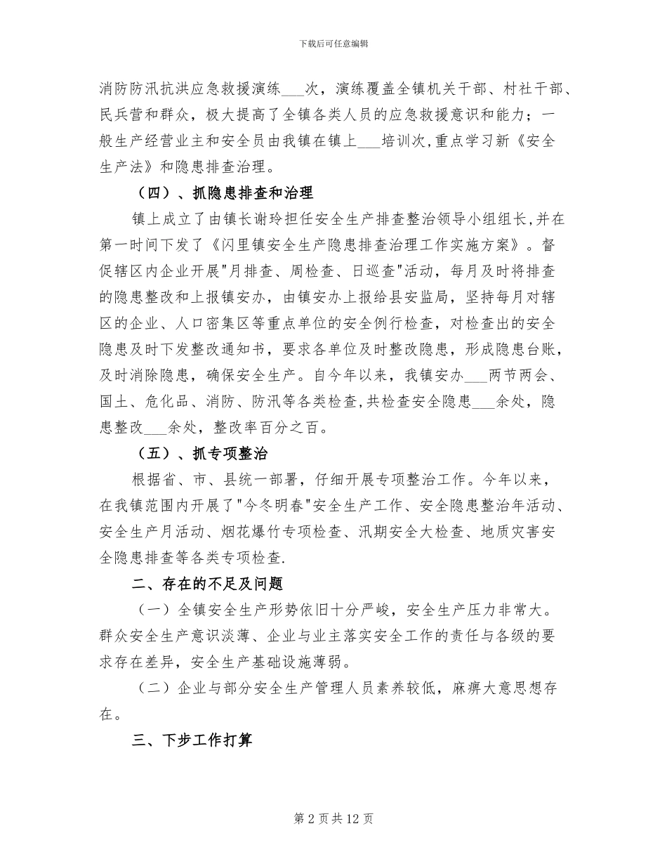 2024年镇上半年安全生产工作总结_第2页