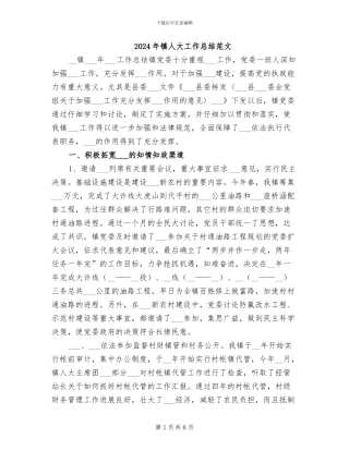 2024年镇人大工作总结范文