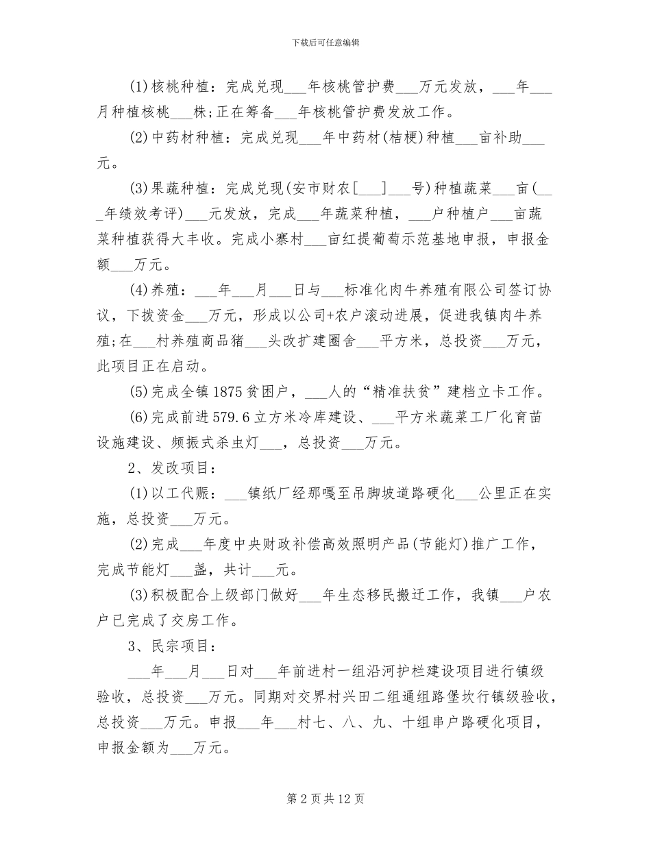 2024年镇人民政府工作总结_第2页