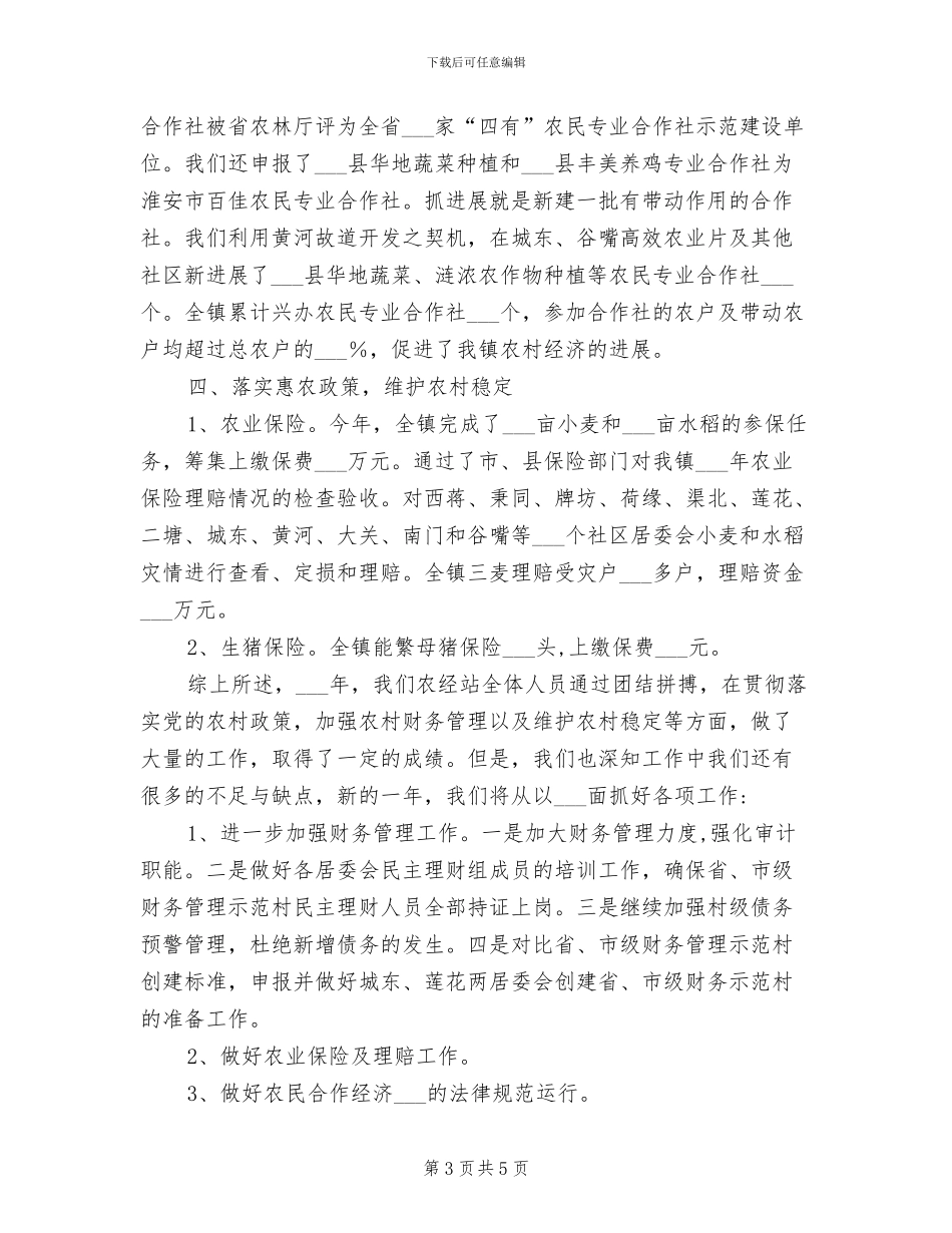2024年镇农经站总结和计划_第3页