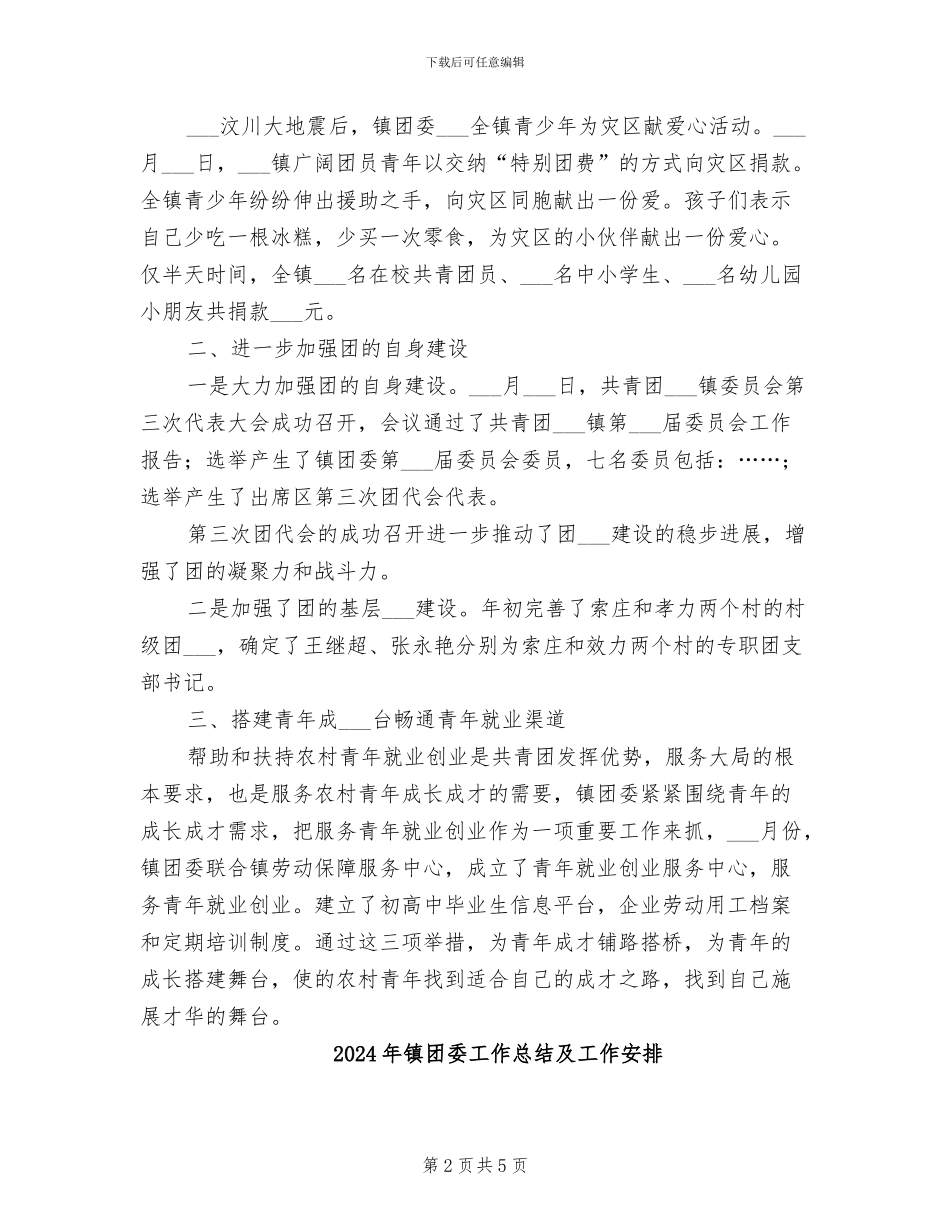 2024年镇团委工作总结_第2页