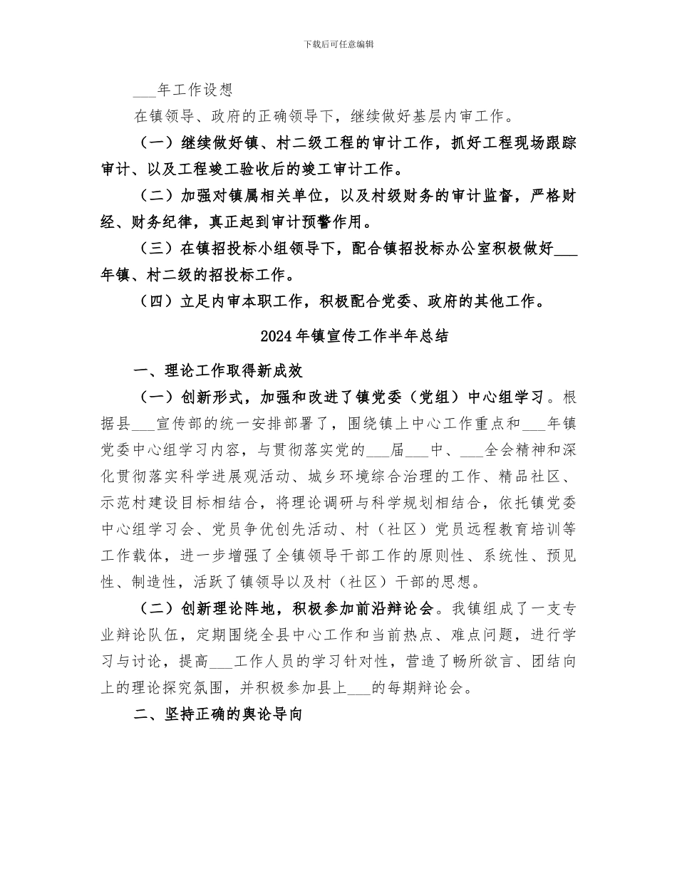 2024年镇审计办工作总结_第3页