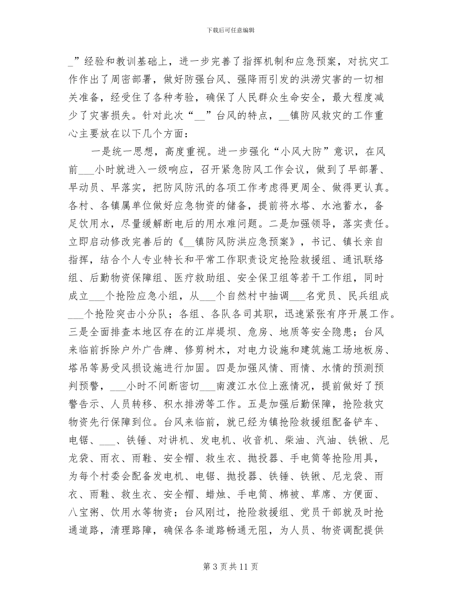 2024年镇抗洪抢险工作总结_第3页