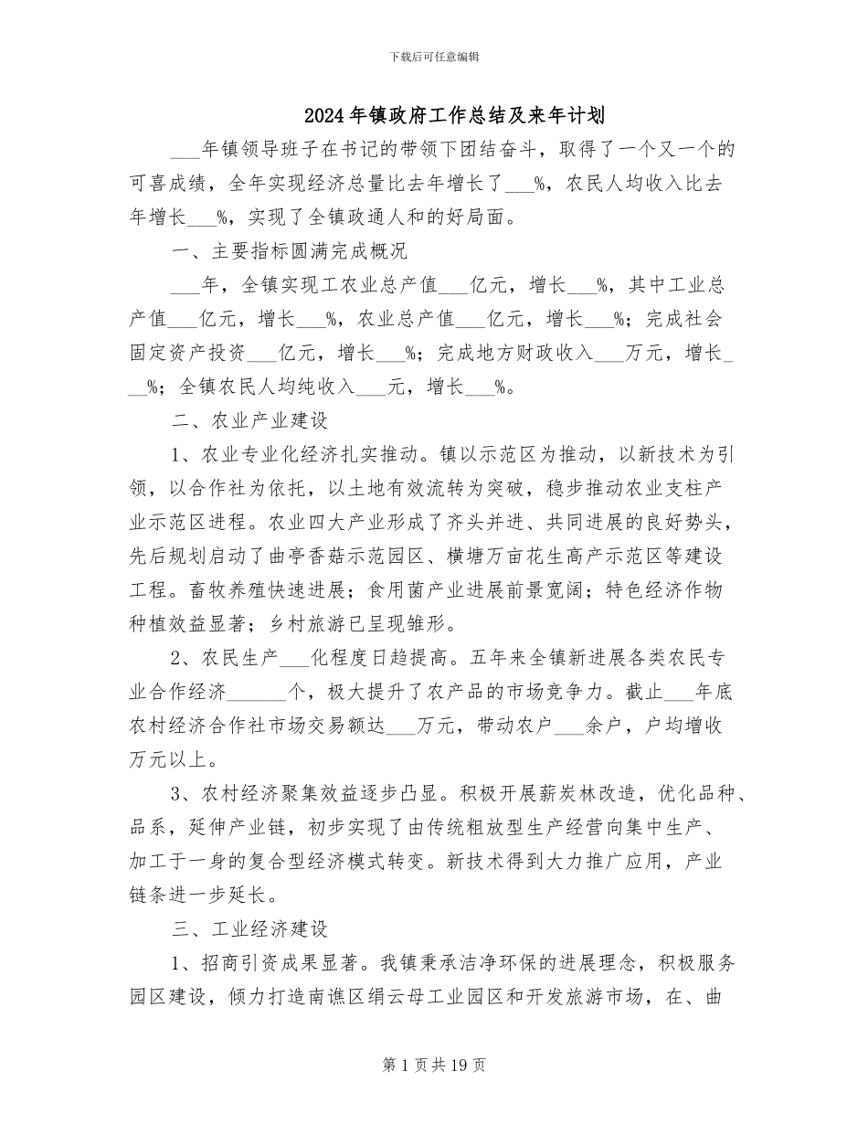 2024年镇政府工作总结及来年计划_第1页