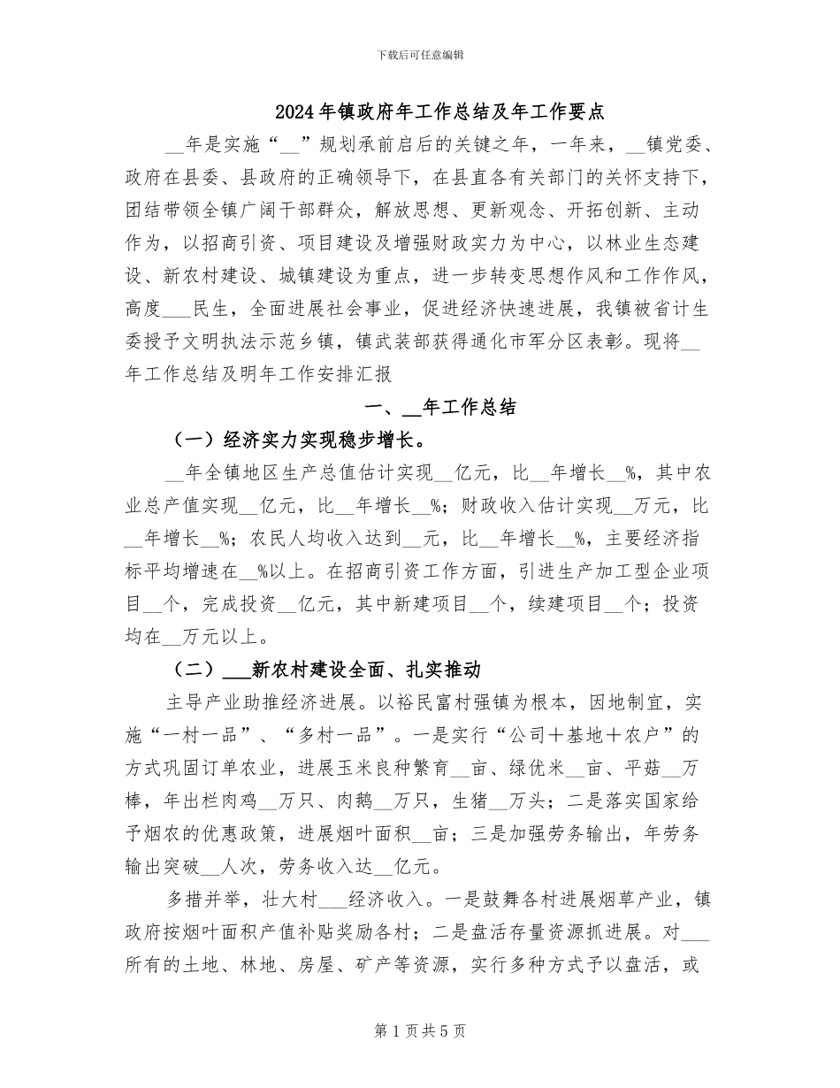 2024年镇政府年工作总结及年工作要点_第1页