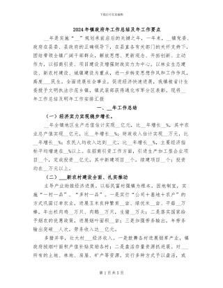 2024年镇政府年工作总结及年工作要点