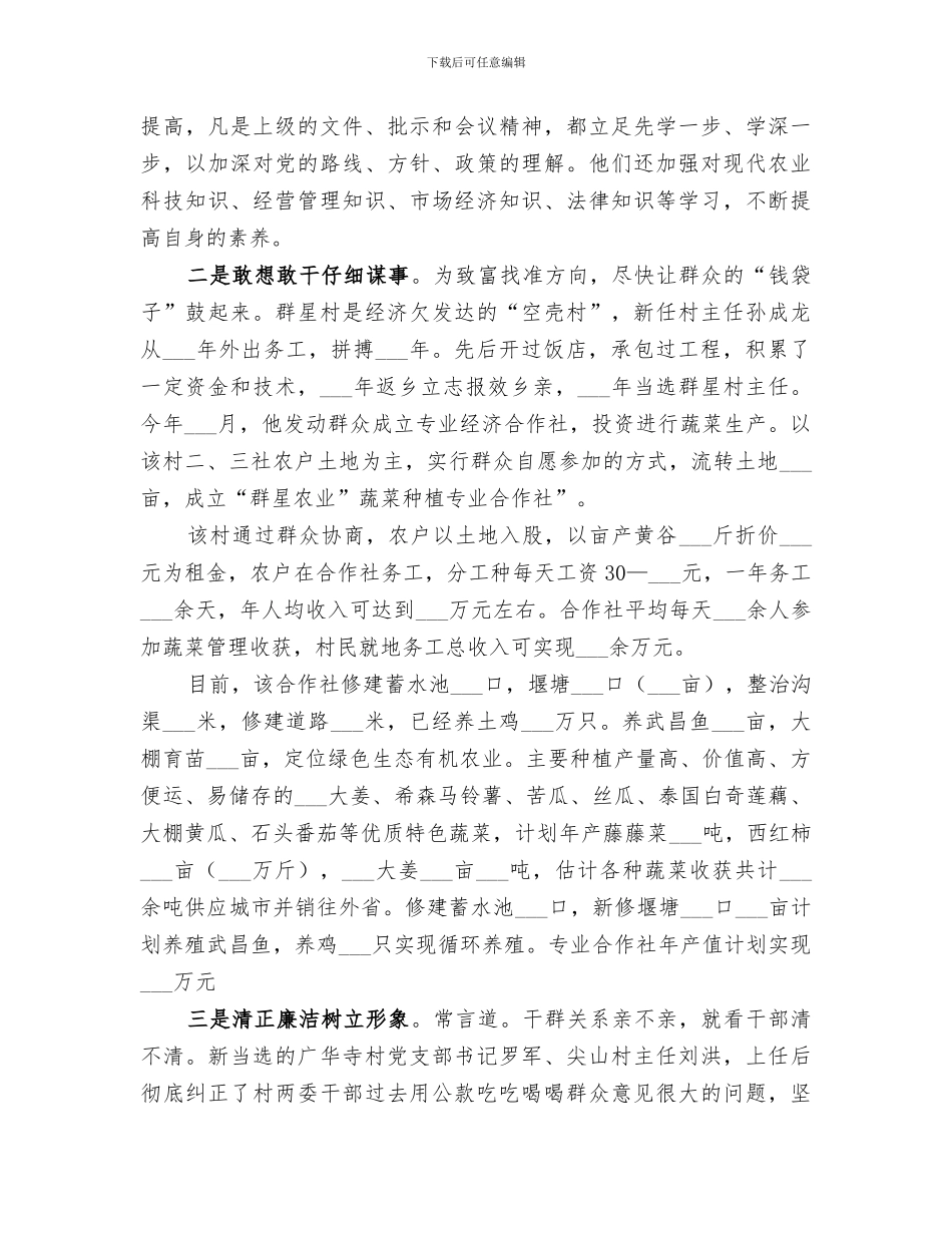 2024年镇招商引资月活动工作总结_第3页