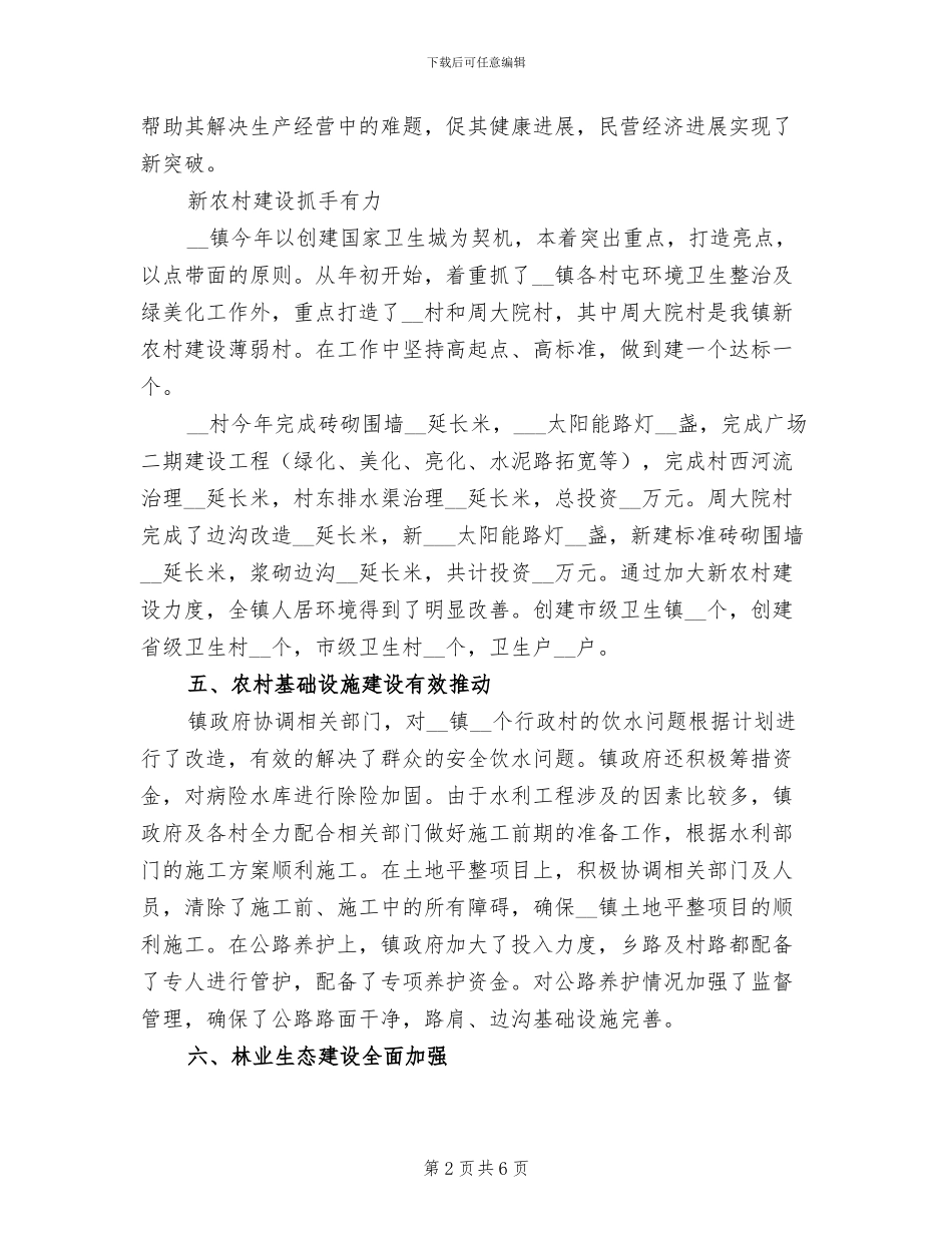 2024年镇政府年工作总结和年工作要点_第2页