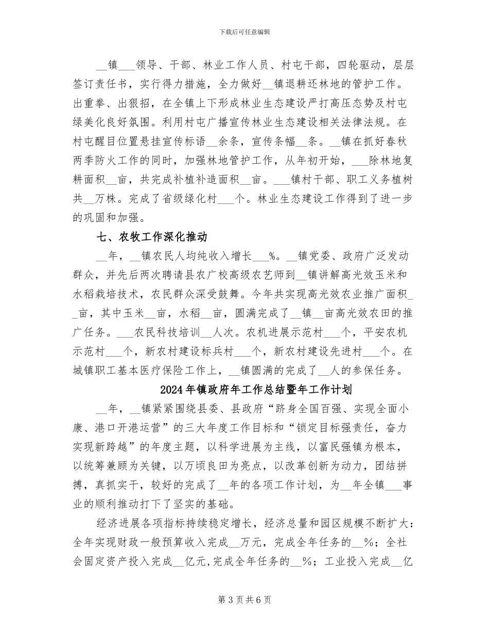 2024年镇政府年工作总结和年工作要点_第3页