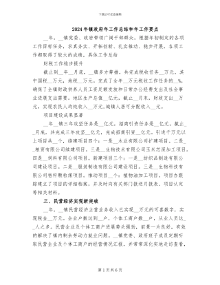 2024年镇政府年工作总结和年工作要点