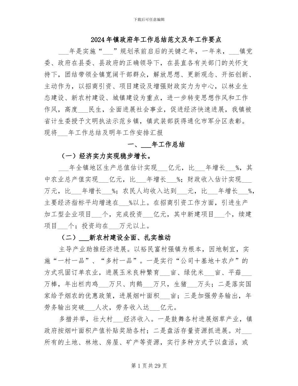 2024年镇政府年工作总结范文及年工作要点_第1页