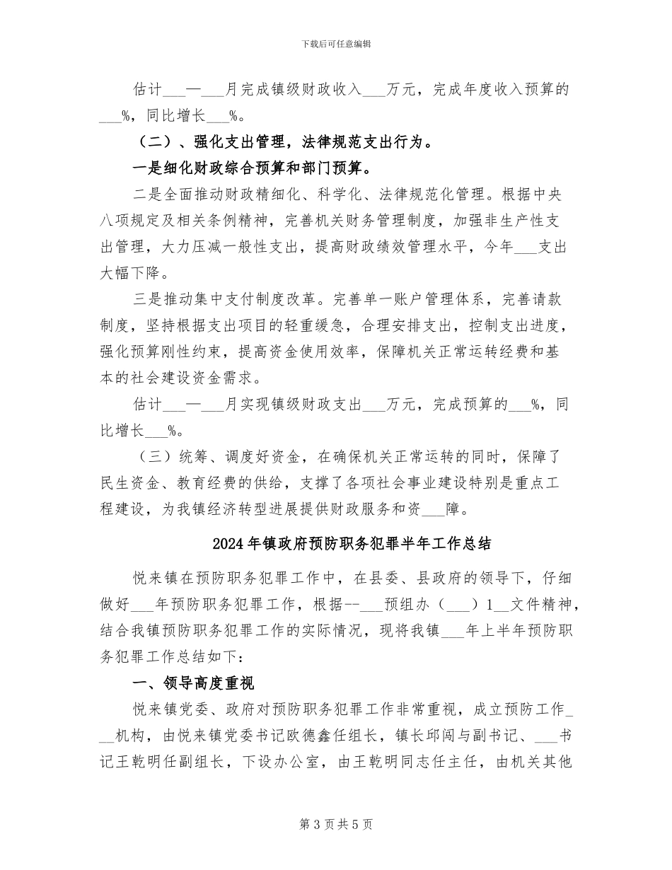 2024年镇政府财政部门工作总结_第3页