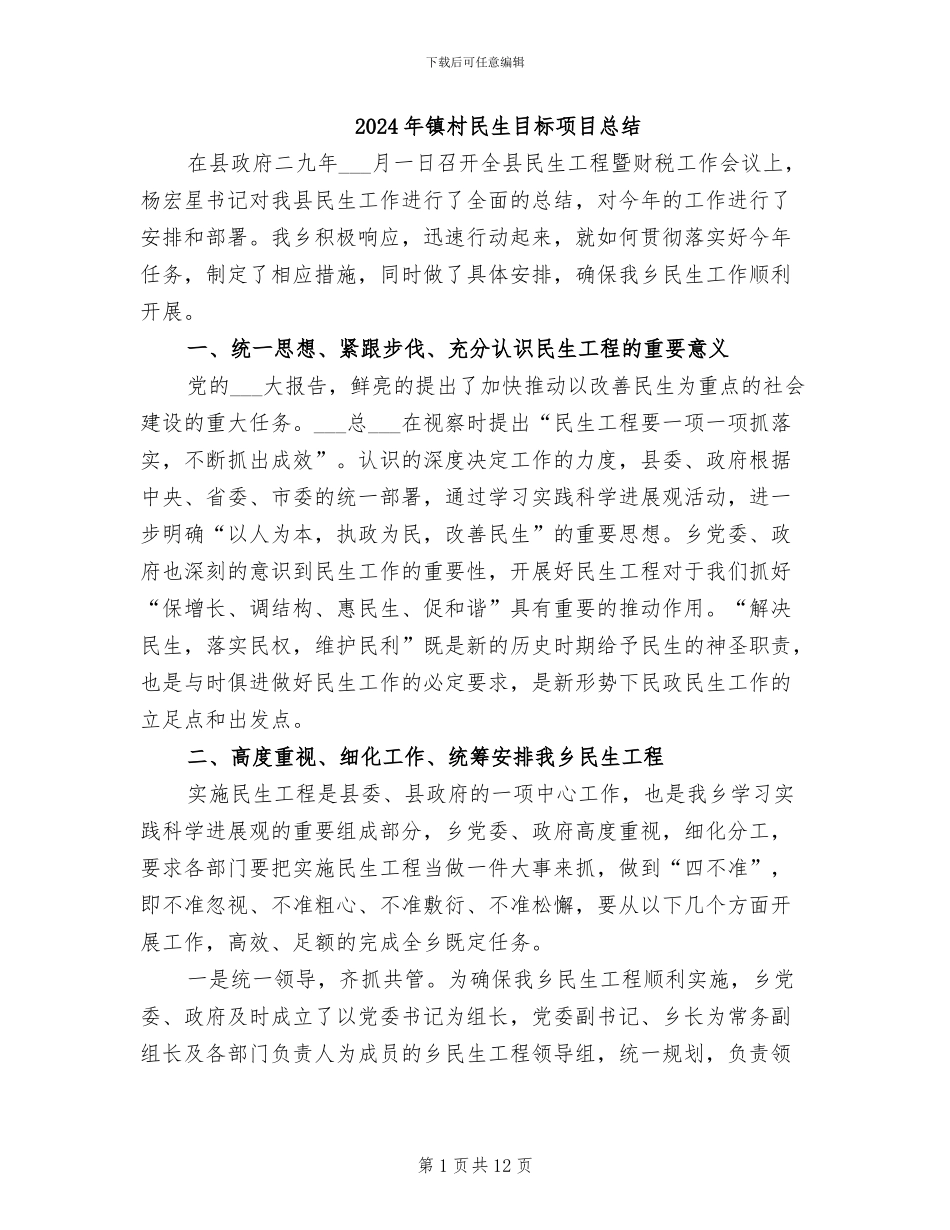 2024年镇村民生目标项目总结_第1页