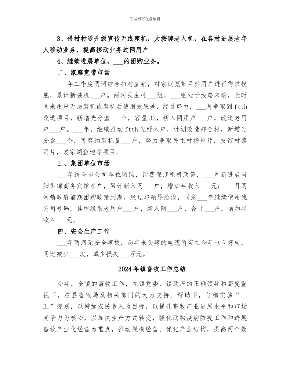 2024年镇电信局工作总结_第2页