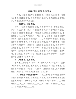 2024年镇社会事务办年度总结