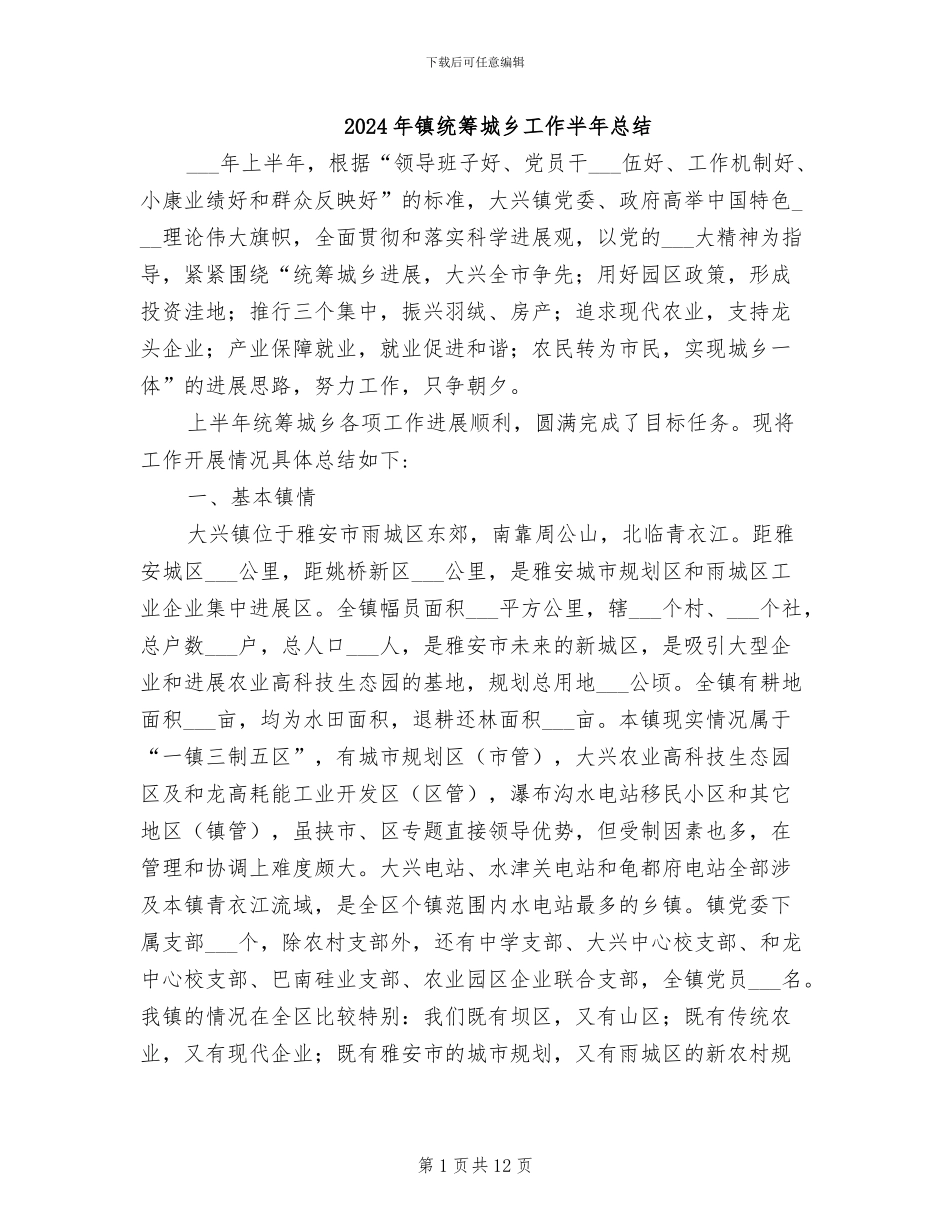 2024年镇统筹城乡工作半年总结_第1页