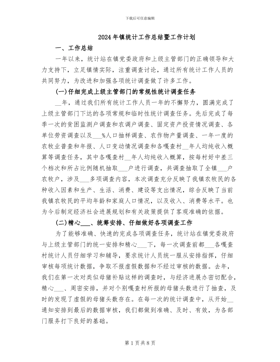 2024年镇统计工作总结暨工作计划_第1页