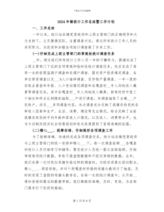 2024年镇统计工作总结暨工作计划