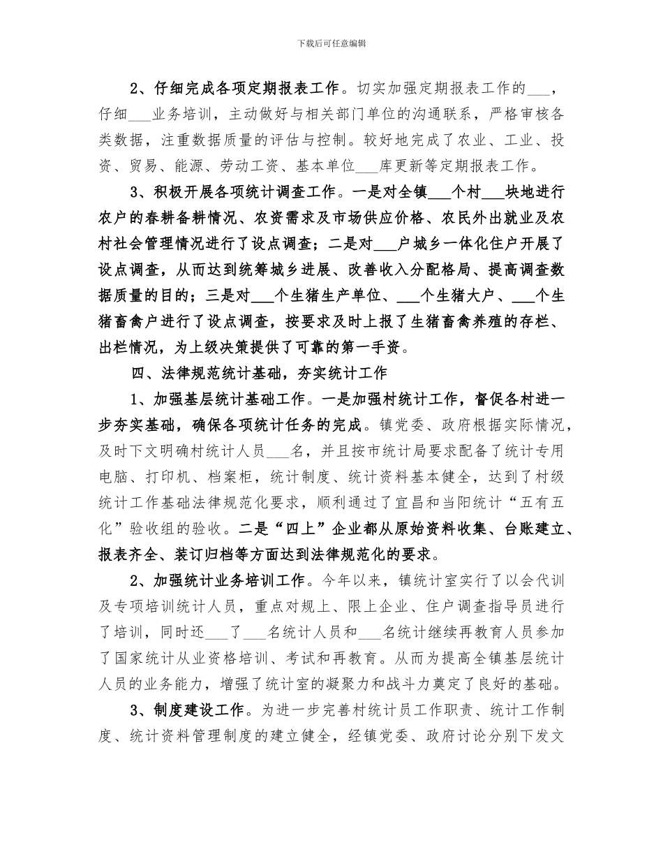 2024年镇统计工作总结_第2页