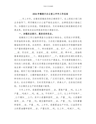 2024年镇统计办公室上半年工作总结