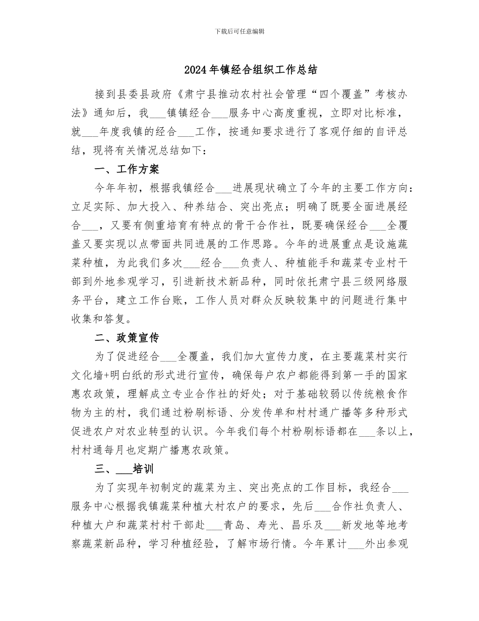 2024年镇经合组织工作总结_第1页