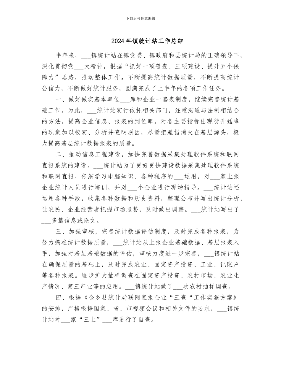 2024年镇统计站工作总结_第1页