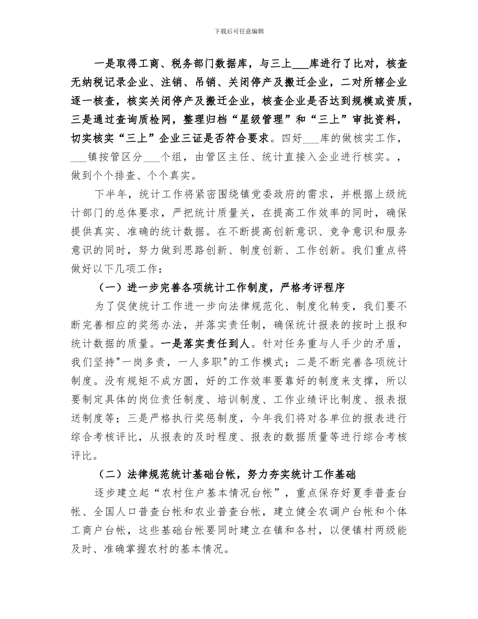 2024年镇统计站工作总结_第2页