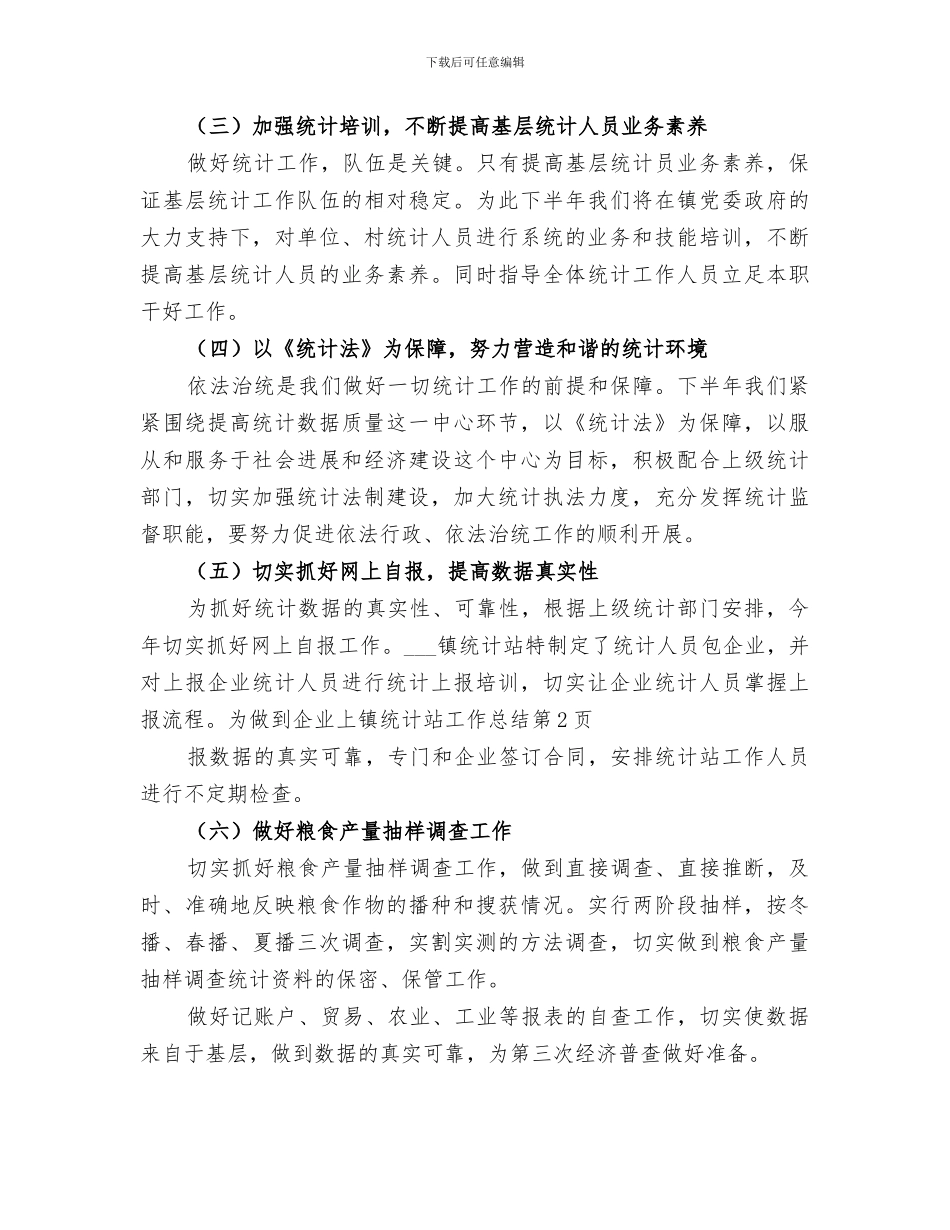2024年镇统计站工作总结_第3页