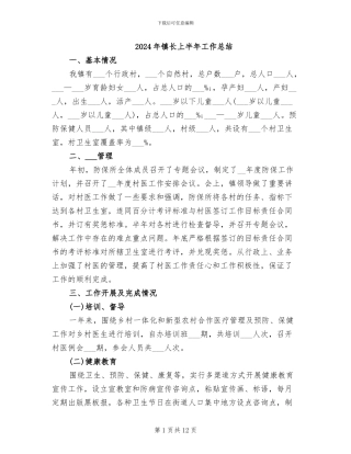 2024年镇长上半年工作总结