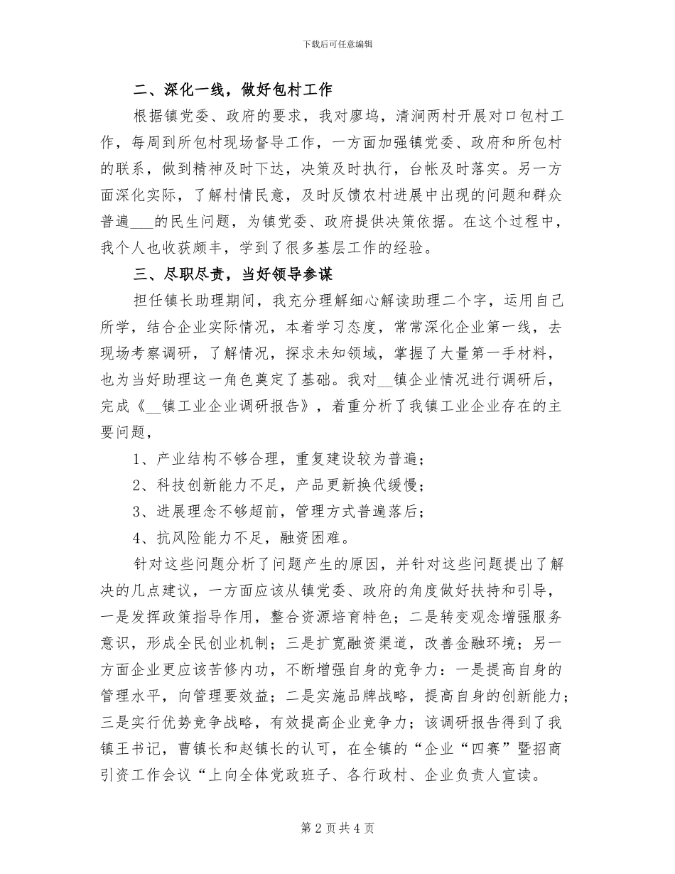 2024年镇长助理工作个人总结_第2页