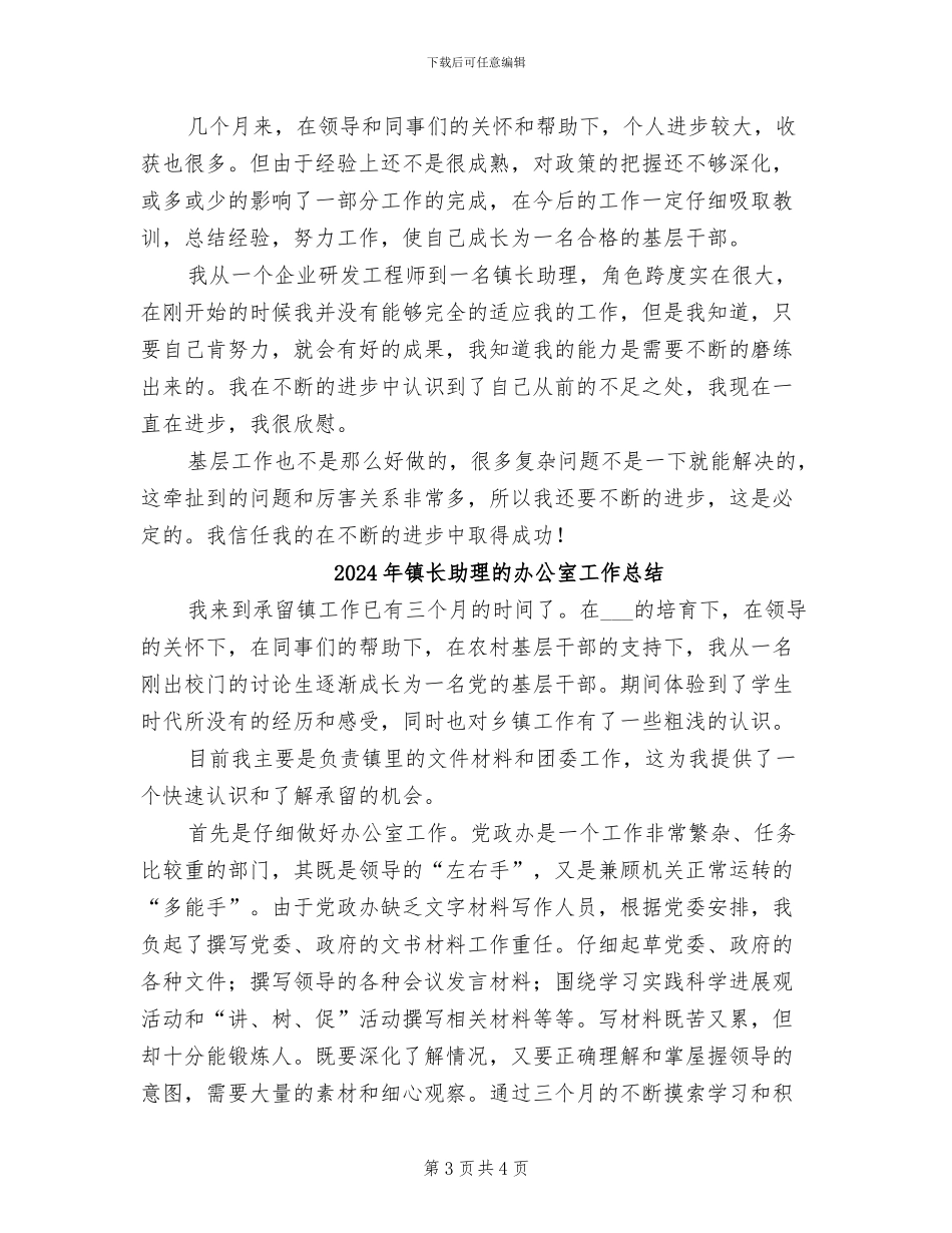 2024年镇长助理工作个人总结_第3页