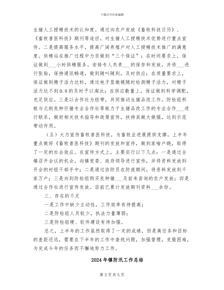 2024年镇防检组工作小结_第3页