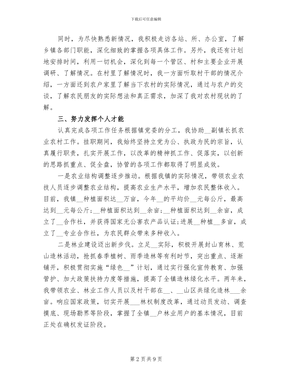 2024年镇长助理试用期工作总结_第2页