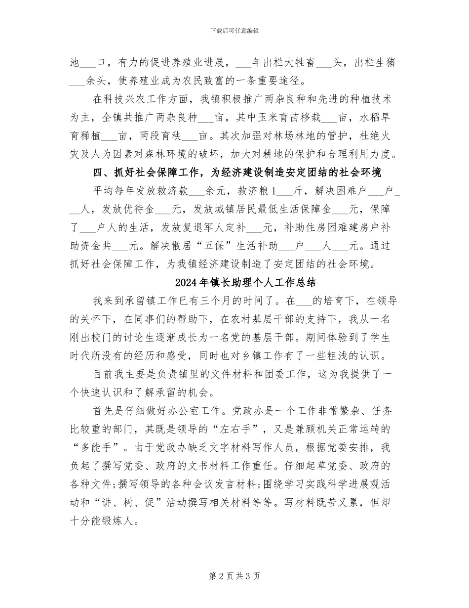 2024年镇长个人工作总结_第2页