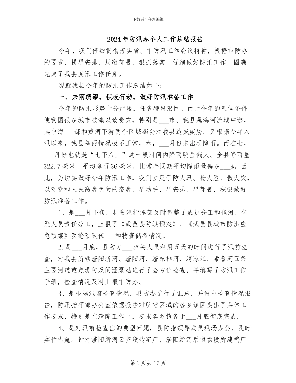 2024年防汛办个人工作总结报告_第1页
