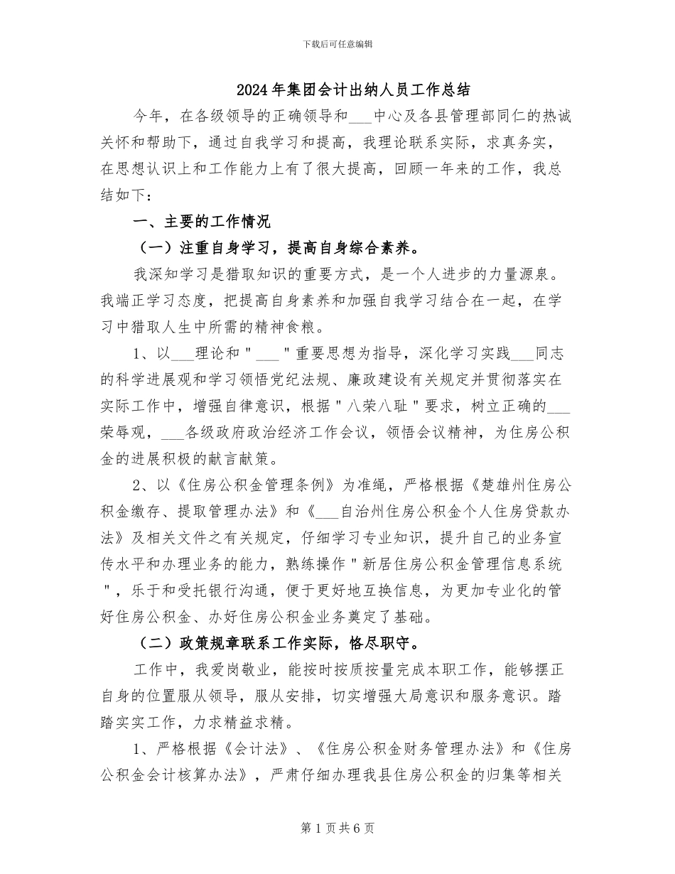 2024年集团会计出纳人员工作总结_第1页