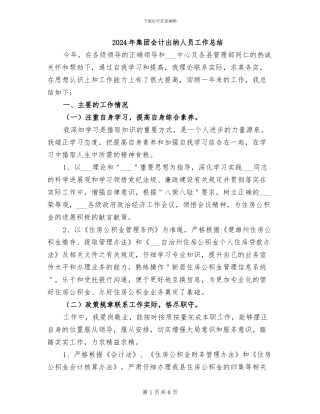 2024年集团会计出纳人员工作总结