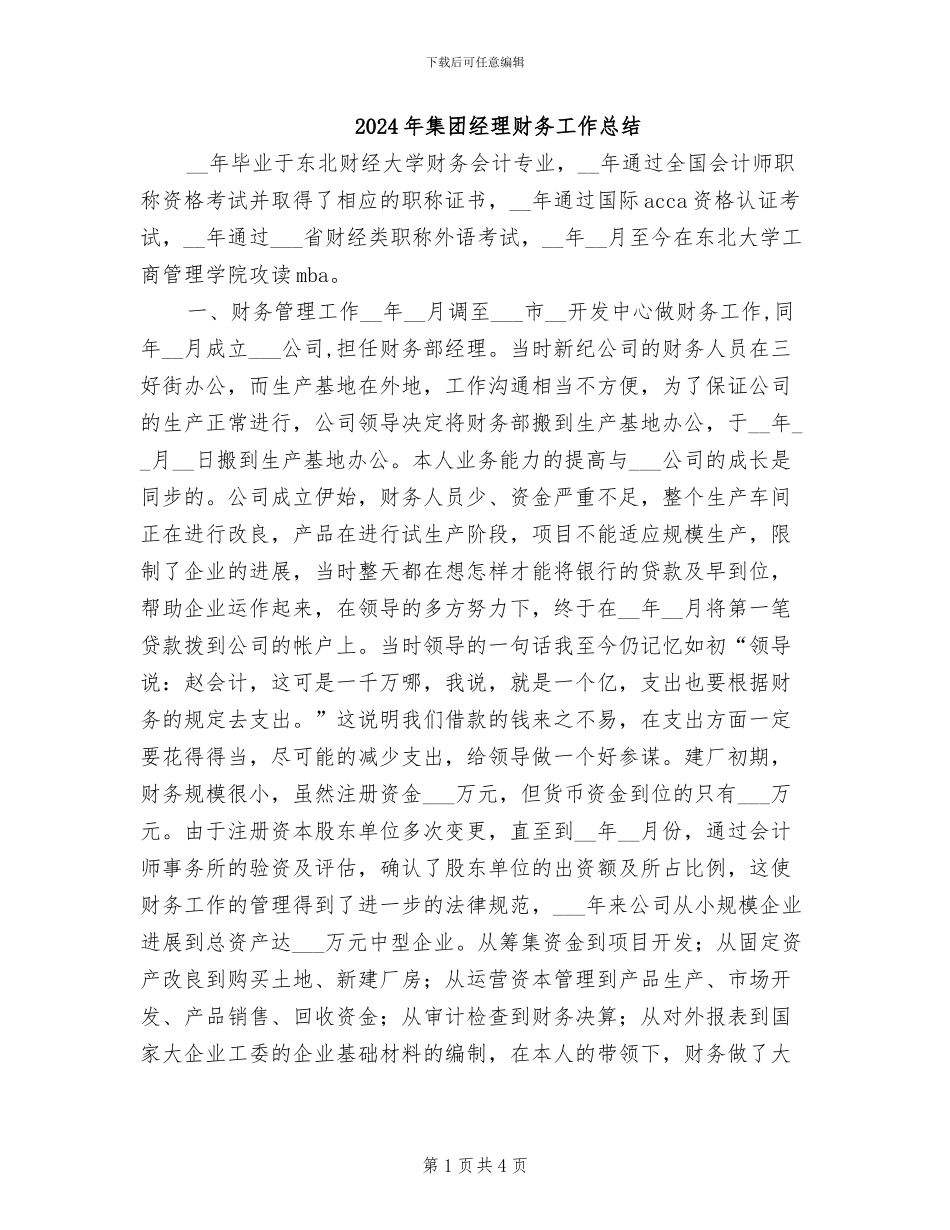 2024年集团经理财务工作总结_第1页
