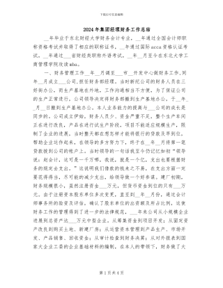 2024年集团经理财务工作总结
