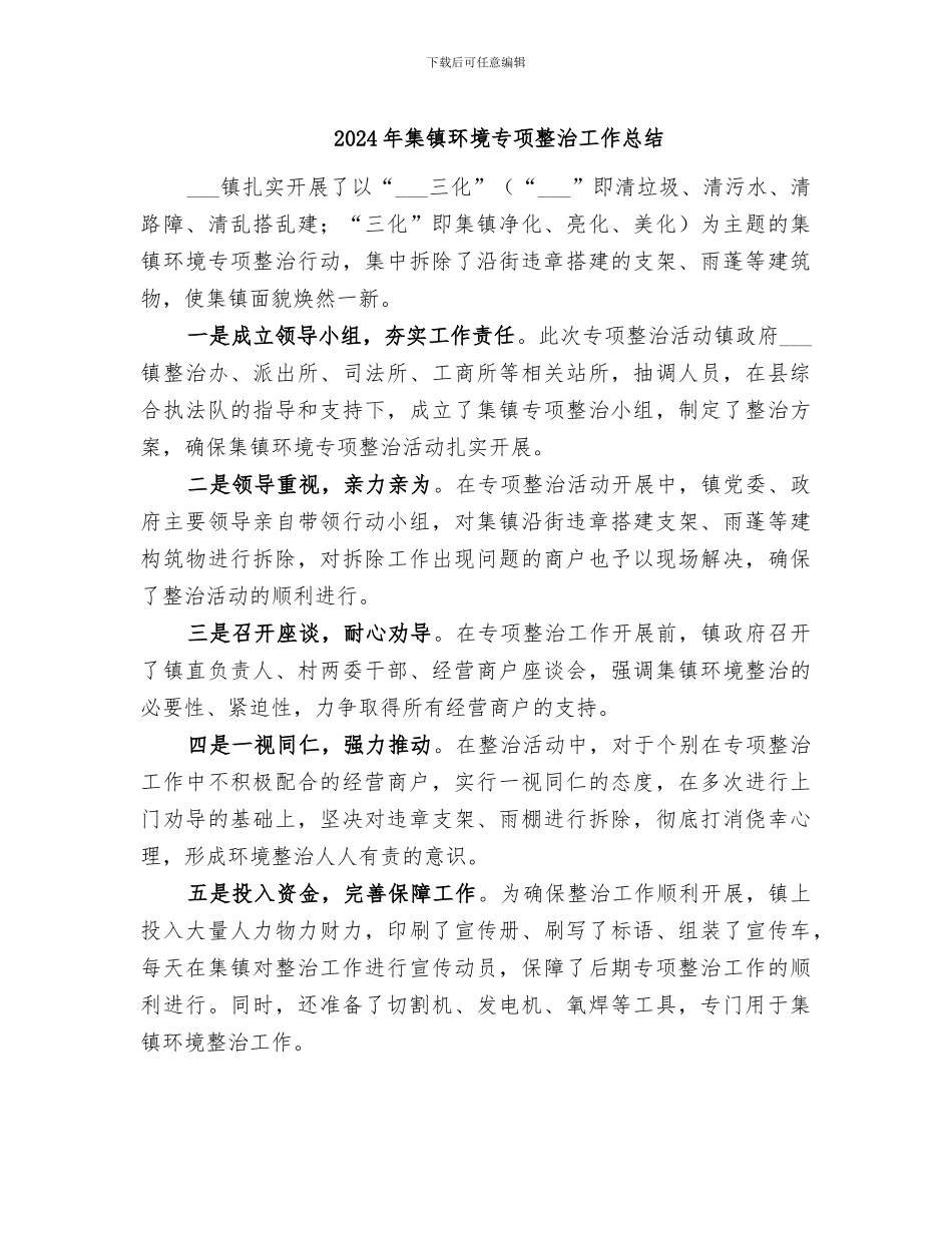 2024年集镇环境专项整治工作总结_第1页