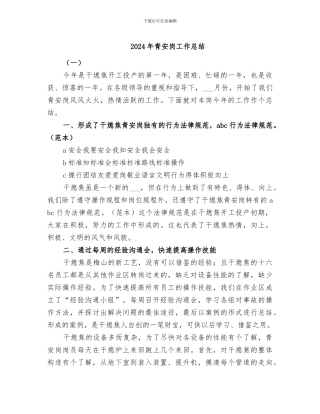 2024年青安岗工作总结
